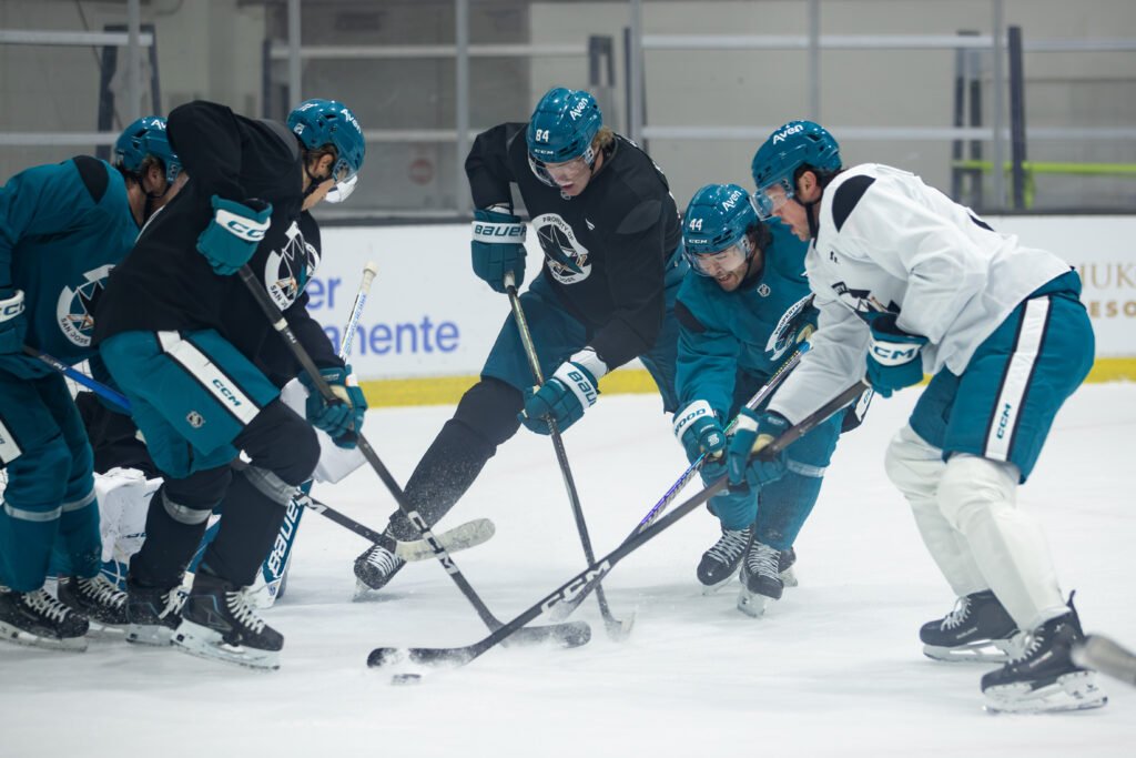 San Jose Sharks players battle for the puck during Training Camp at Sharks Ice in San Jose.